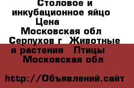 Столовое и инкубационное яйцо › Цена ­ 50-10 - Московская обл., Серпухов г. Животные и растения » Птицы   . Московская обл.